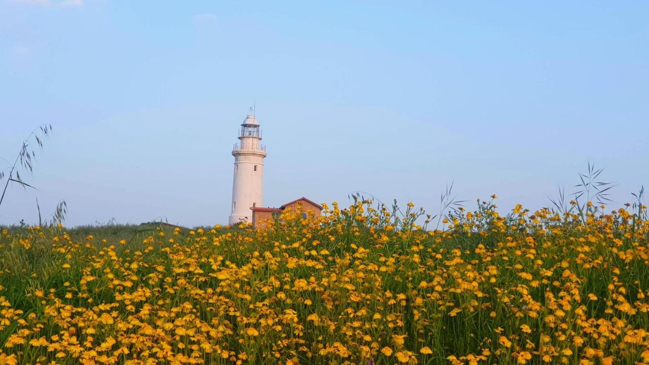 Dahan Sirena Lighthouse Luxury Apartment بافوس المظهر الخارجي الصورة